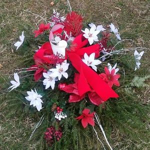 Meet your Posher, Dee